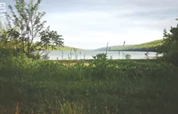 hemlock.jpg
