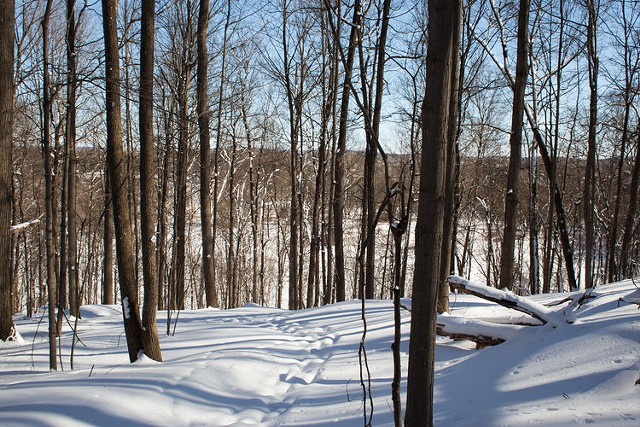 Ganargua Creek Meadow Preserve, part of the Genesee Land Trust's group of preserves that visitors can enjoy from dawn to dusk on the winter solstice.