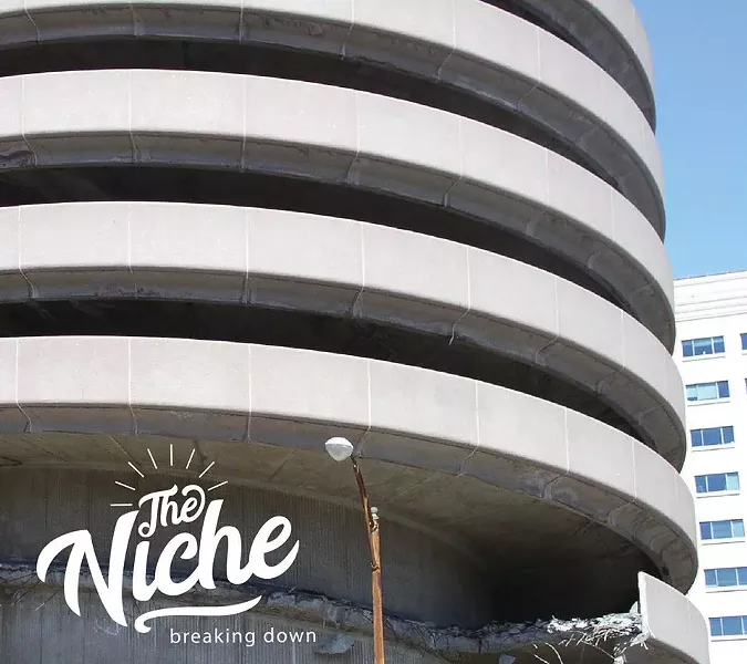 theniche_albumcover.jpg