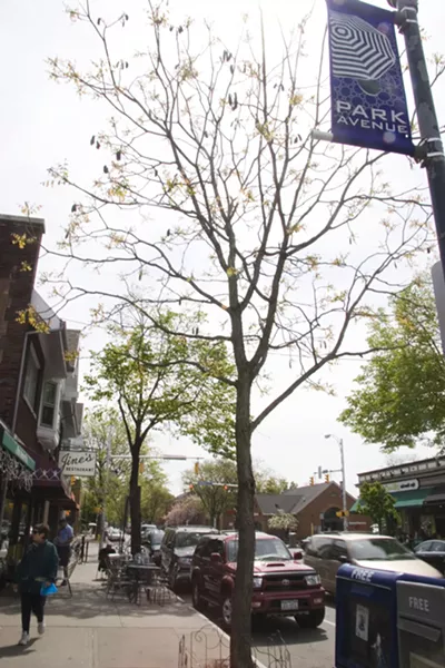 Jines Restaurant on Park Avenue in spring. - FILE PHOTO
