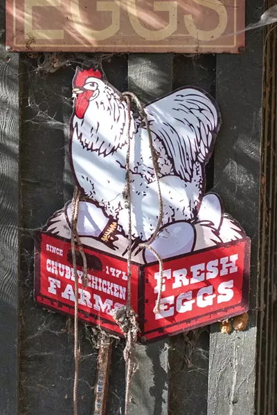 Fresh eggs are a staple at the homestead of Bob Bunce. - PHOTO BY RYAN WILLIAMSON