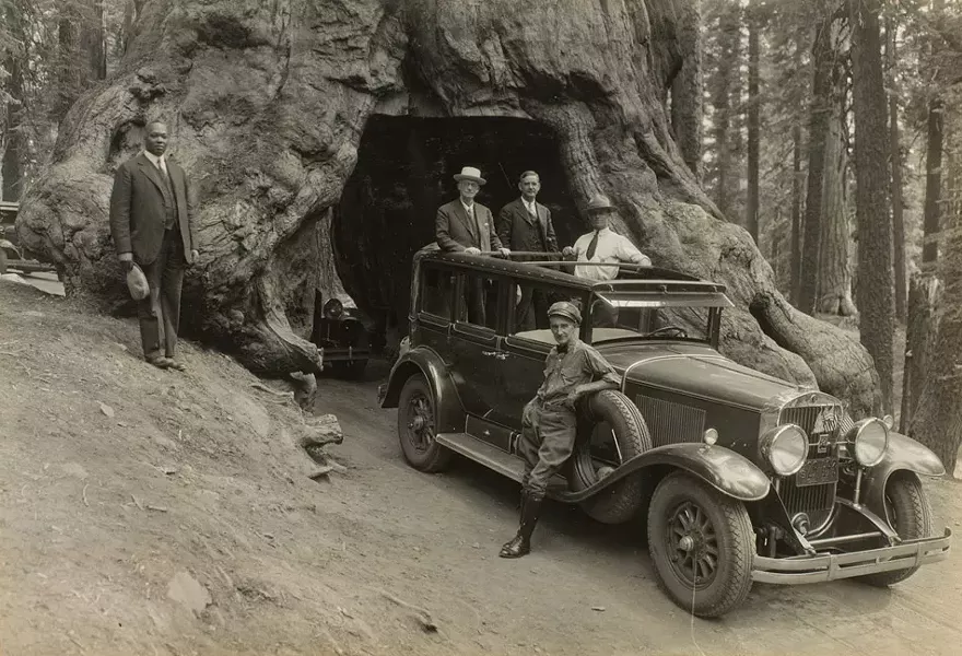 Audley D. Stewart's image of George Eastman and companions riding through Wawona Tree in Yosemite National Park in 1930. - PHOTO PROVIDED
