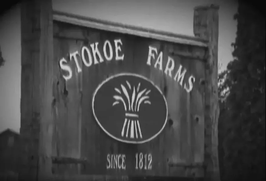 PHOTOS COURTESY LOCALLY GROWN: AN ESSENTIAL PART OF OUR ECONOMY