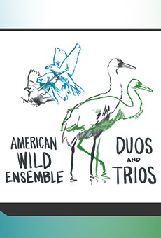 American Wild Ensemble evokes nature with 'Duos and Trios'
