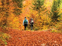 Let nature nurture you with these fall recreation activities