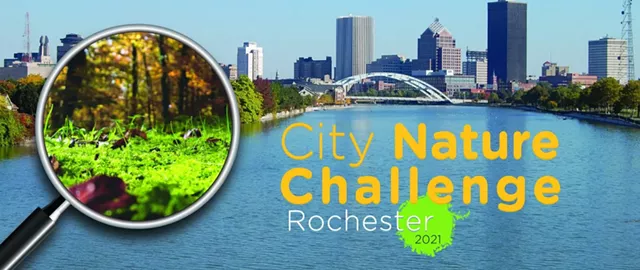 Nature Hike for the City Nature Challenge - Vimarsana News