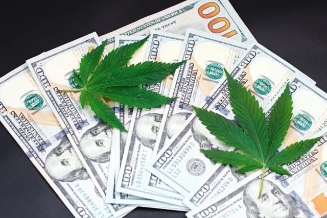 Accounting for Cannabis: Update on the Regulations, Tax Implications, & More - Vimarsana News