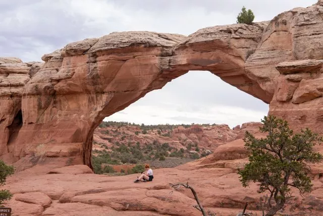 Utah's Magnificent Five with Dan Reardon | Irondequoit Library | Lectures - Vimarsana News