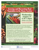 Growing & Harvesting Root Vegetables - Uploaded by Renee Kendrot