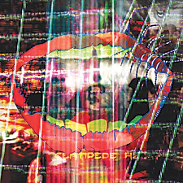 1370948.jpg