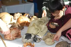 Hands-on exploration at the Fair