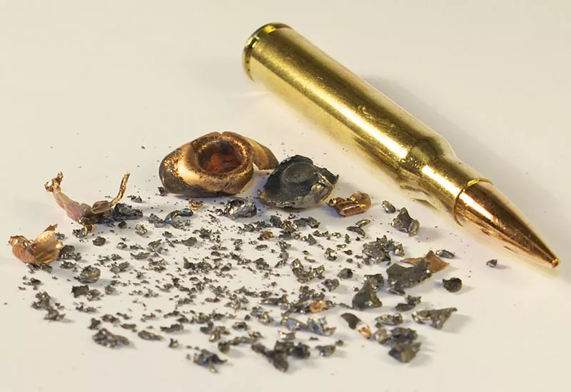 Lead ammo breaks apart on impact and is sometimes ingested by scavengers, which could cause lead poisoning. - WILDLIFE CENTER OF VIRGINIA