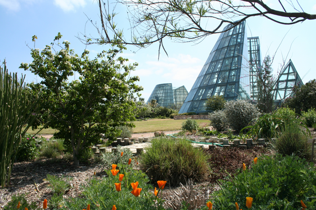 San Antonio Botanical Garden Set To Expand The Daily