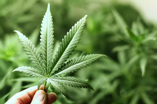 So, medical marijuana is kind of a thing in Texas now.