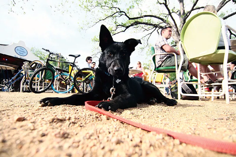 The Friendly Spot won’t hound you for bringing your dog. - FILE PHOTO
