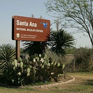 Judge Approves Border Wall Work Next to South Texas' Protected Santa Ana Wildlife Refuge