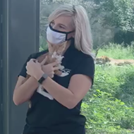 San Antonio Zoo and Animal Defense League Team Up for Adorable Adoptable Pet Play Dates