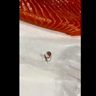 San Antonio Man Finds Worm in Raw Salmon Fillet Purchased at North San Antonio H-E-B