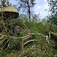 San Antonio Zoo Joins Recovery Effort at Louisiana Zoo Damaged by Hurricane Laura