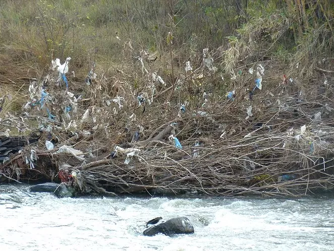 The effect of plastic bag pollution on a river. - WIKIMEDIA COMMONS