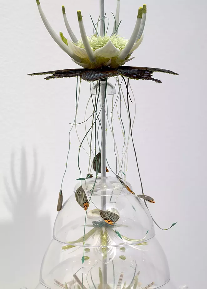 STUDY FOR MOON FLOWERS