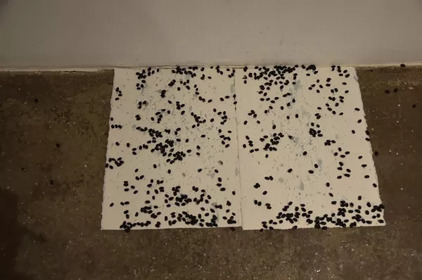 A “performace-based” work on paper by Clifford Owens. - PHOTO BY BRYAN RINDFUSS