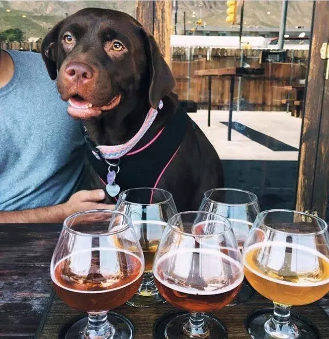 FACEBOOK / THE HOPPY MONK