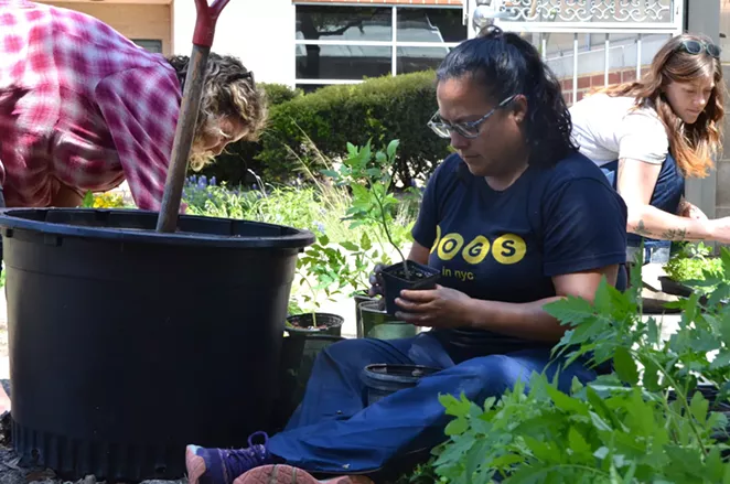 Eco Centro staff and volunteers plant new crops. - LEA THOMPSON