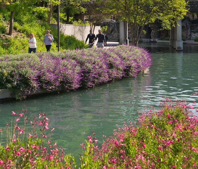 PHOTO BY SAN ANTONIO RIVER AUTHORITY VIA FACEBOOK / SANANTONIORIVER