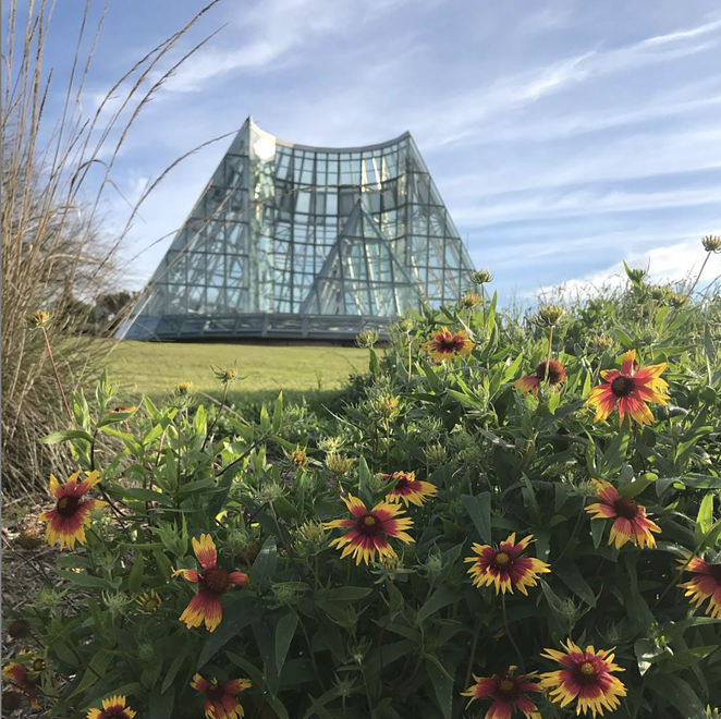 INSTAGRAM / SABOTGARDEN