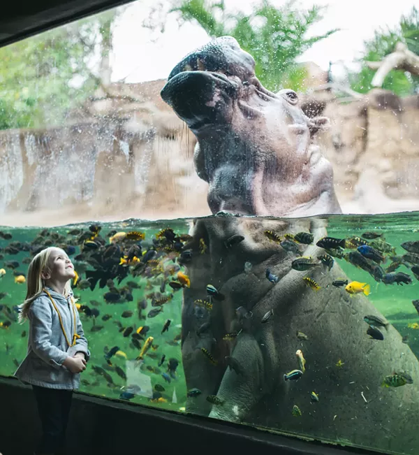 COURTESY OF THE SAN ANTONIO ZOO