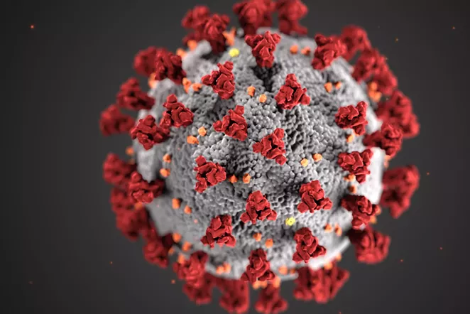 The COVID-19 virus is shown under a microscope in this image supplied by the federal government. - CENTERS FOR DISEASE CONTROL