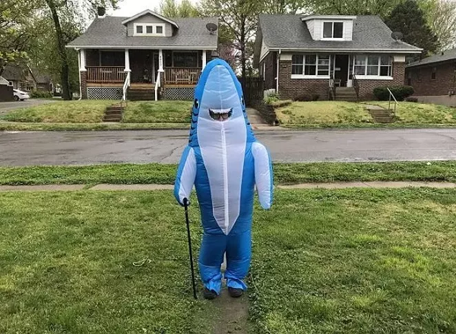 A portrait of the author as a cool shark. - ANJELIQA PRATT