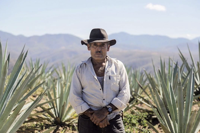 Don Aquilino devoted his entire life to bringing the flavors of the Agave plant into mezcal. - INSTAGRAM / MEZCALVAGO