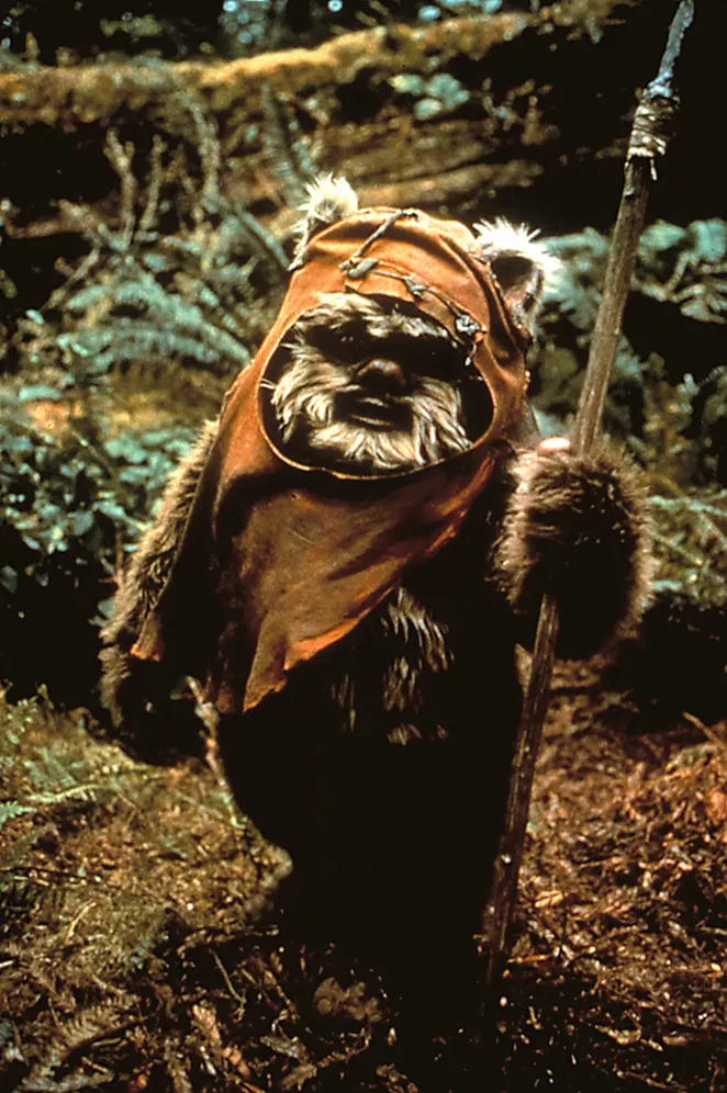The parody takes its name from the Ewok Wicket, played by Warwick Davis in The Return of the Jedi. - WALT DISNEY STUDIOS MOTION PICTURES