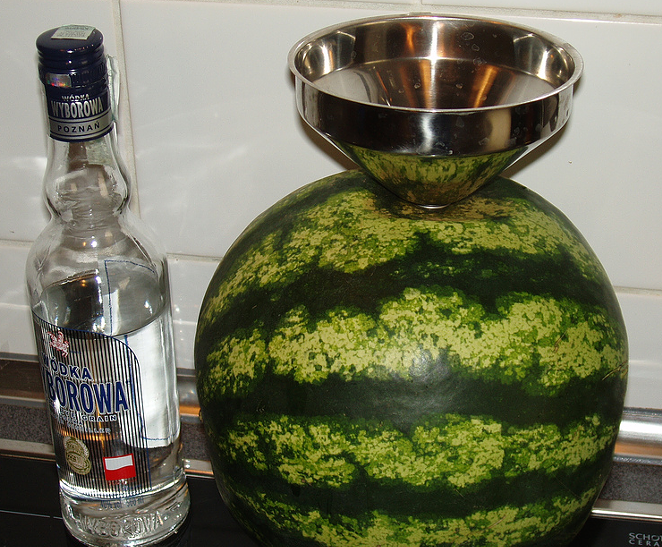 Foods Vodka Can Soak In Foods Vodka Can Soak In