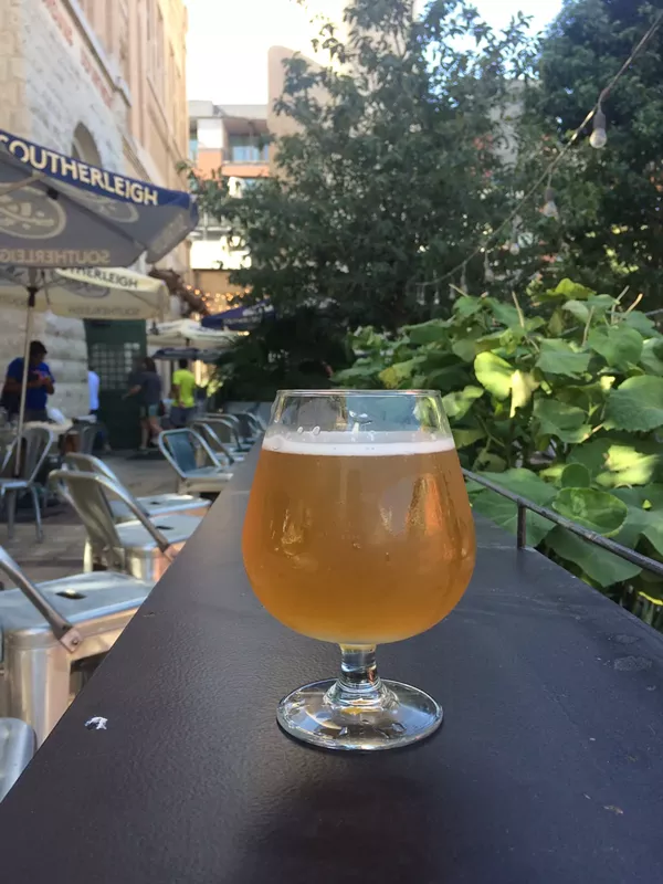 Southerleigh's Koalas, Cockerel Spaniels and Unicorns gose - MARK STENBERG