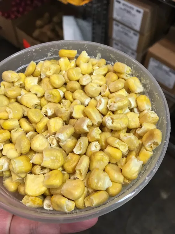 Freeze dried corn - JESSICA ELIZARRARAS