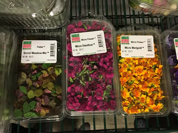 Edible flowers - JESSICA ELIZARRARAS
