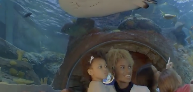 SEA LIFE San Antonio will feature the city's only underwater ocean tunnel. - INSTAGRAM / THESANANTONIORIVERWALK