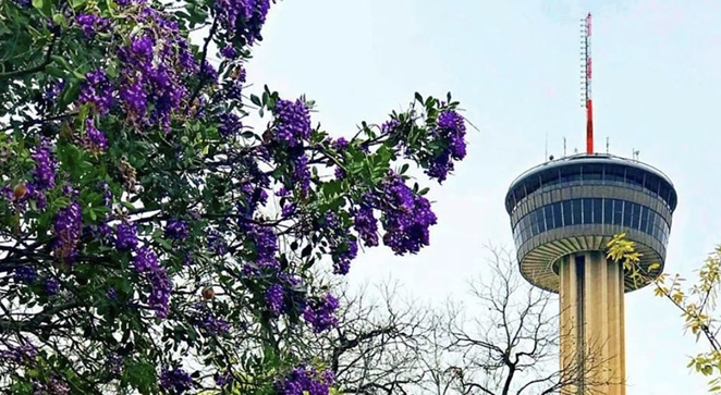 The Tower of the Americas will host its third annual Wine Fest next month. - INSTAGRAM / TOWEROFTHEAMERICAS