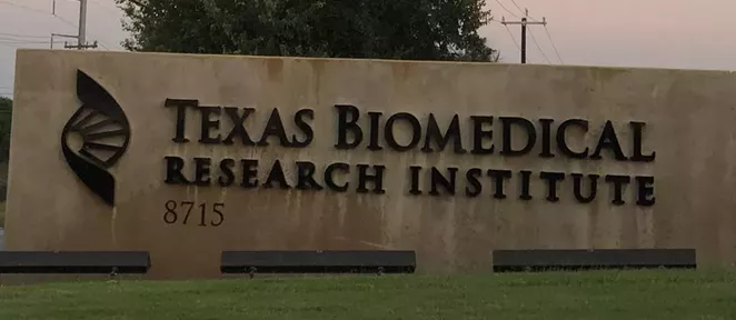 San Antonio-based Texas Biomedical Research Institute notified federal authorities that 159 baboons under its care suffered amputations due to frostbite. - INSTAGRAM / @NUTRIXORGE