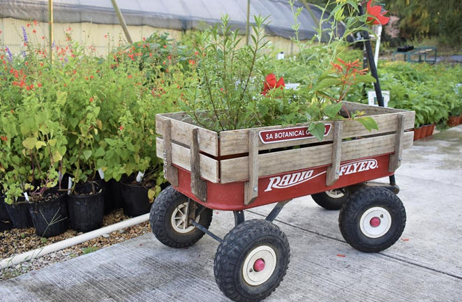 San Antonio Botanical Garden’s Bootanica Plant Sale will take place Oct. 23-24. - INSTAGRAM / SABOTGARDEN