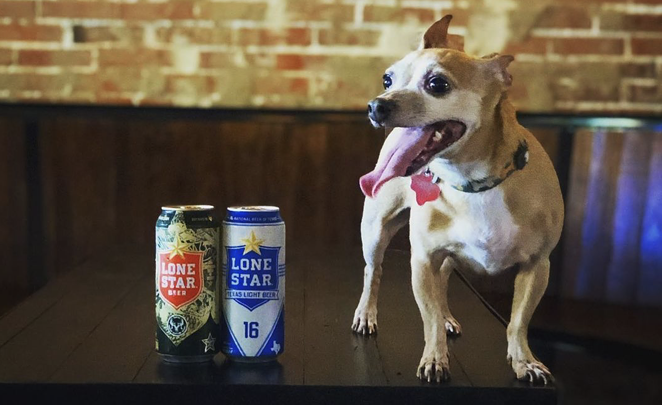 Construction on Texas Dog Co. & Beer Garden, on San Antonio's Northwest side, will begin next year. - INSTAGRAM / BARAMERICA_SATX