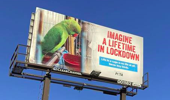Animal rights group PETA has purchased this billboard near a San Antonio Petco store. - COURTESY PHOTO / PETA