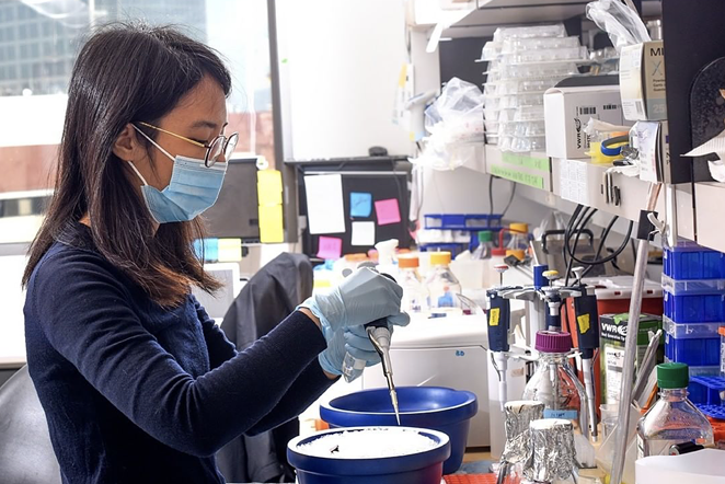 Scientists at the Baylor College of Medicine hope to fund the mass production a patent-free COVID-19 vaccine. - INSTAGRAM / BCMHOUSTON