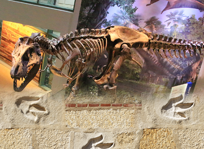 WITTE MUSEUM