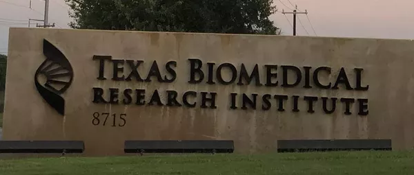 PETA asks feds to penalize San Antonio lab after 159 of its baboons suffered amputations from frostbite