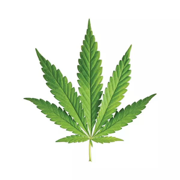 weed.jpg