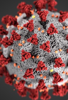 The COVID-19 virus is shown under a microscope in this image supplied by the federal government.
